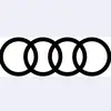 audimarcin