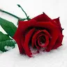 user320952607