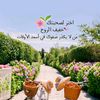 reem8078
