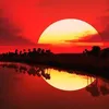 moustafa0655