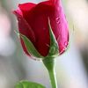saleemshahshah09