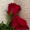 user45185060