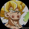 goku_06901