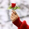 hasson.alshehri