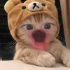 hrynti.amndaa