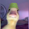 daltonb.2024