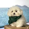 tr_qin311