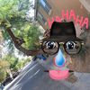 theduckman1122