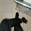 mhdfikri_abd