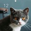 rohman_hamzah415