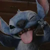 whos_stitch_