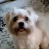 bonya_bonyashka