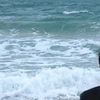 aasn__
