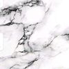 suno295
