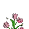 tulipsonelove