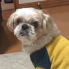 りん