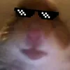 geriowin