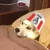 catwastak3n