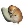 saltypdk