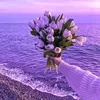 yhengfindz07