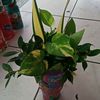 user257027099