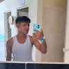 vini_yz8