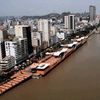 abguayaco593