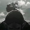 hairi_301
