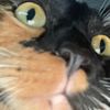 mickimaki774