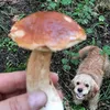 valdemarsvidrigailov