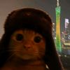 pablo_290606