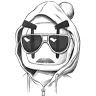 mondo_cooly