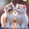 user566153005