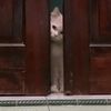 cikowwwwww3