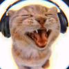 ilovecat1246