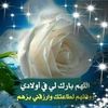 wafaakhaled905