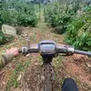 Đông con 🍀