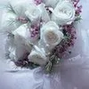 mohammedalhaddad219