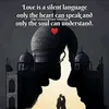 mohammedfarooq3721