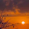 manasadlshad