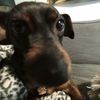 lucas_mar278