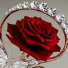 martines_fi
