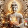 thaonguyen05288