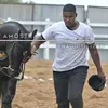 Wemerson Santana