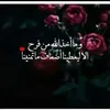 user422350886