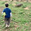 dinosaur_1306