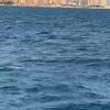 mohammedhamad033