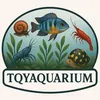 tqyaquarium
