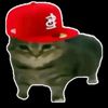 ucuupcihuuy