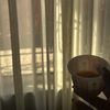 wadhaaziz97